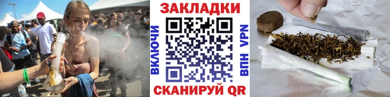 Магазины продажи наркотиков Новая Ладога Псилоцибиновые грибы  СОЛЬ  МЕФ  Кокаин  Гашиш  Амфетамин 