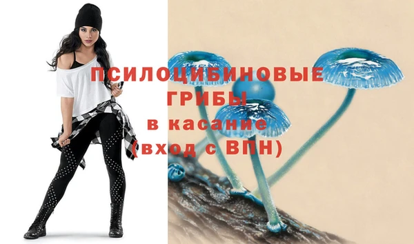 молекула духа Балахна