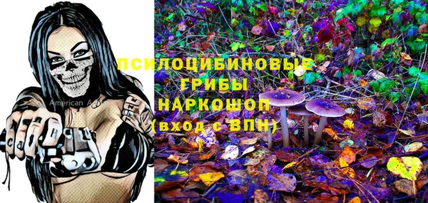 молекула духа Балахна