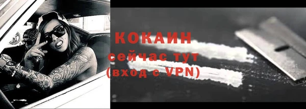 эйфоретик Пересвет
