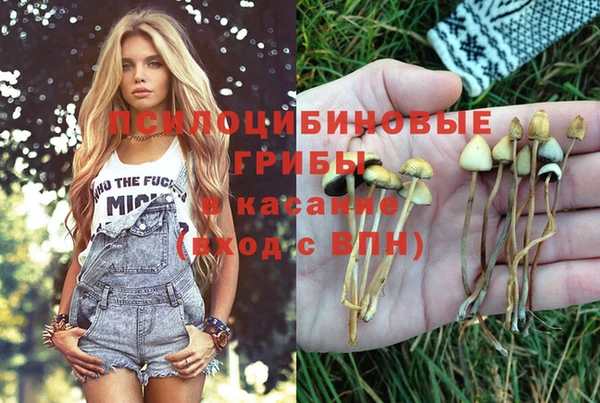 молекула духа Балабаново