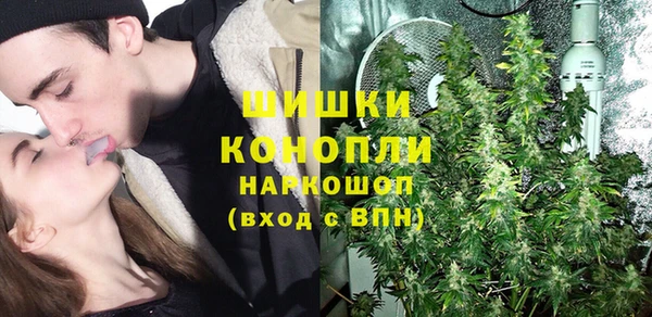 молекула духа Балахна