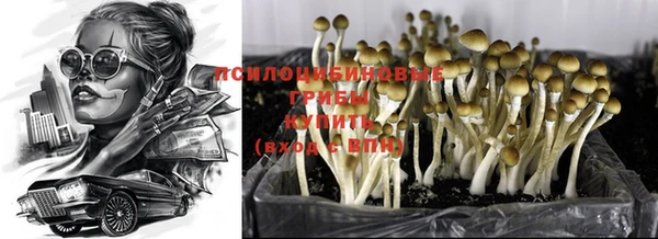 молекула духа Балахна