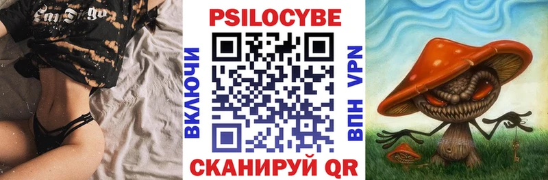 Галлюциногенные грибы мухоморы  Новая Ладога 